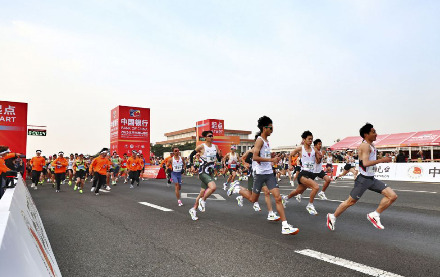 乐鱼体育电竞官网比赛预测与分析